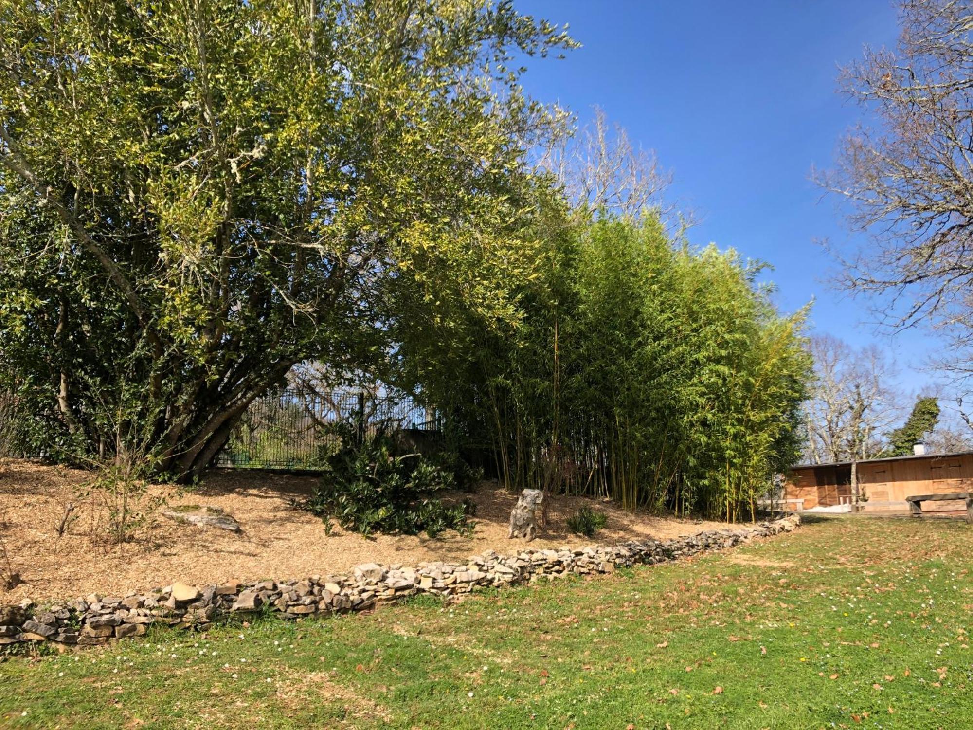 Chateau De Termes Martel Exterior foto